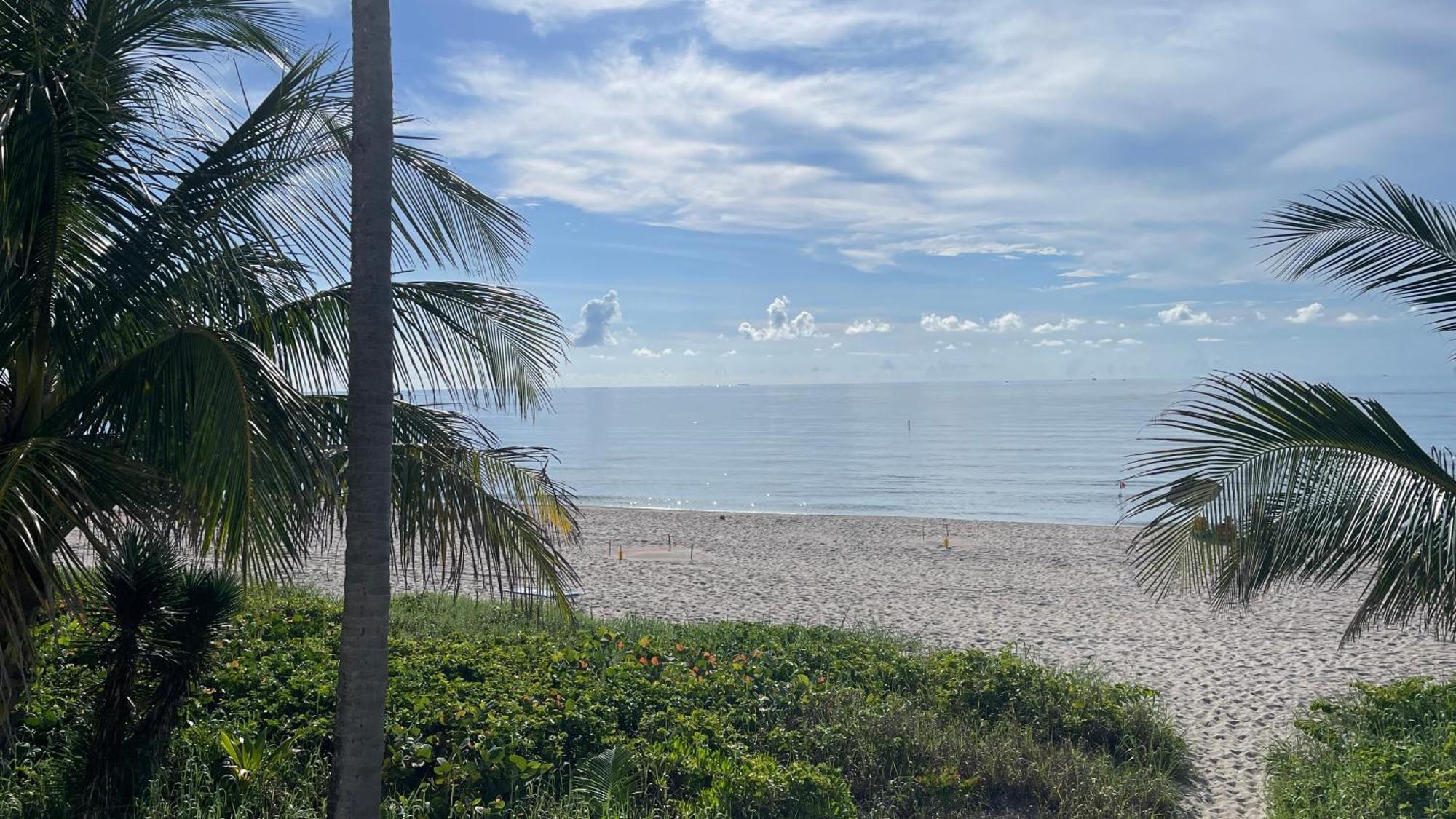Studiobts - Lauderdale-By-The-Sea 폼파노 비치 외부 사진