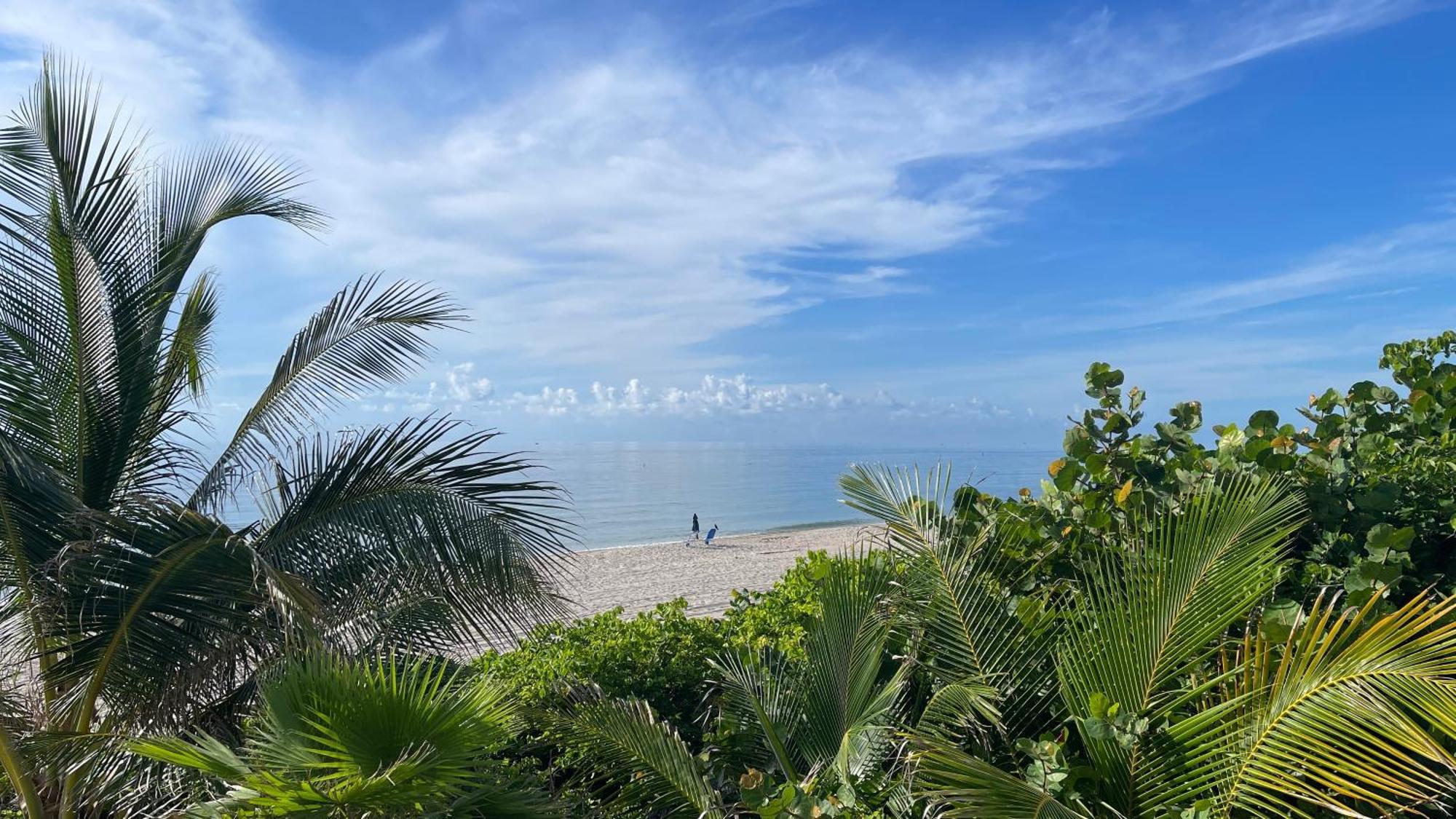 Studiobts - Lauderdale-By-The-Sea 폼파노 비치 외부 사진